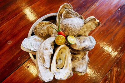 Steamed Oysters at Charcoal Boy