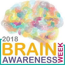 Il GdN organizza eventi per un'intera Settimana Mondiale del Cervello