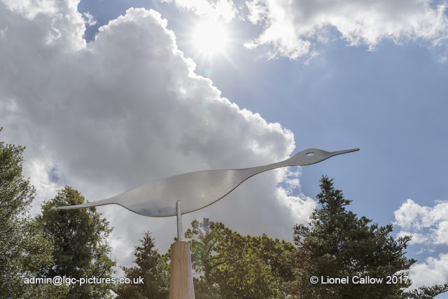 A Flight of Avocets This is a stainless steel avocet with an oak stand . flight of three