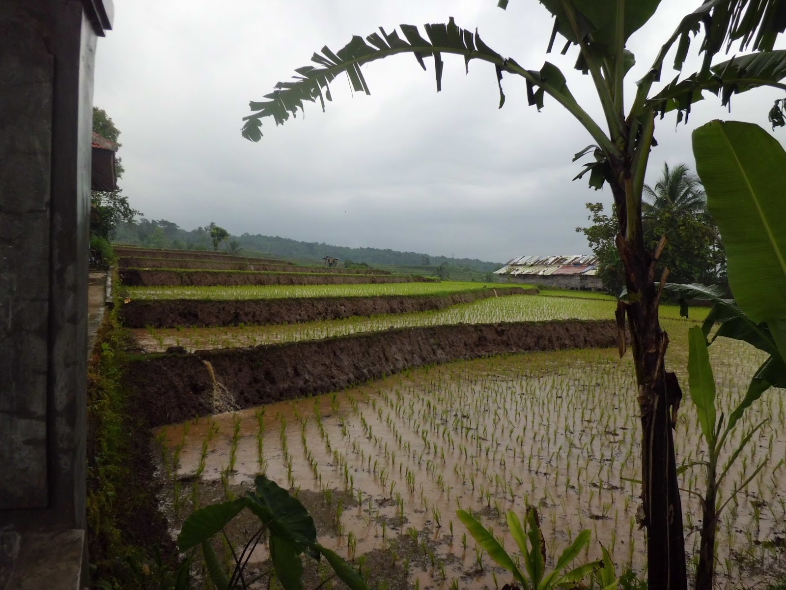 cinciya's: Perjalanan ke Kuningan