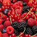 Conheça 5 benefícios das frutas vermelhas