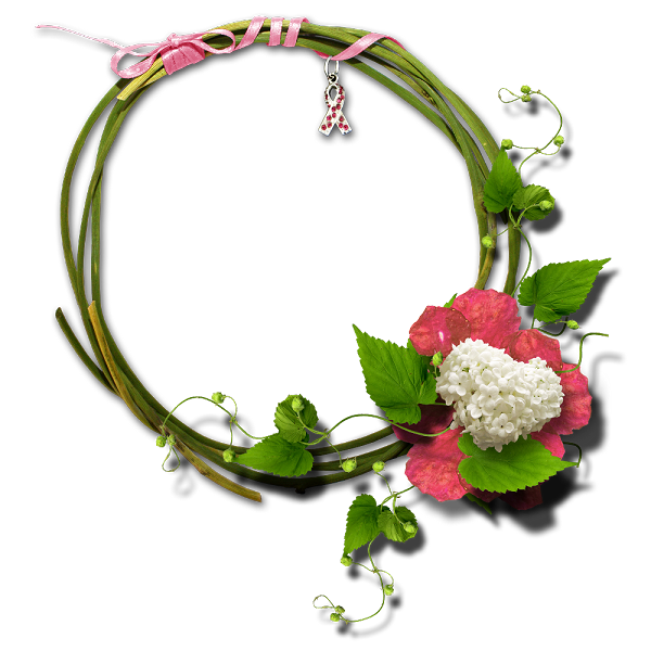 คลังรูป ภ.ภาพวาด: กรอบรูป