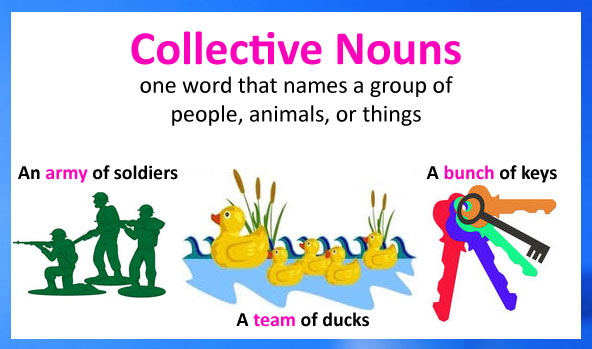 what is collective noun