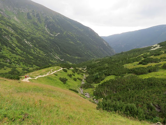 Żarska Dolina zarska