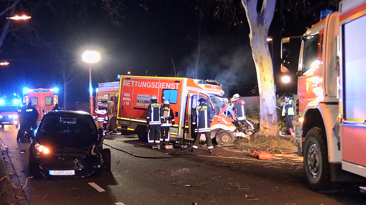 Www Andrea Freiberg De