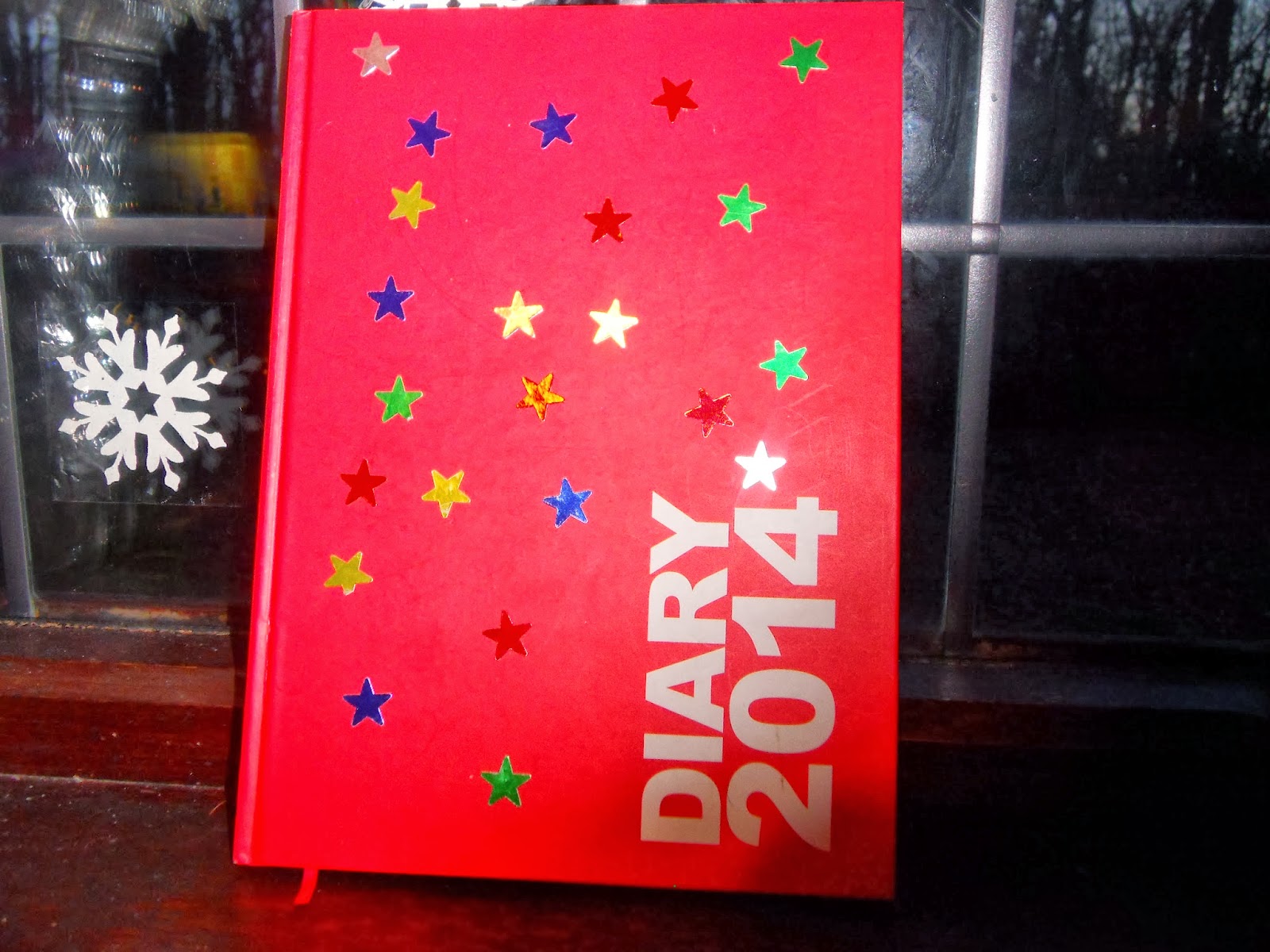 What to write on the first page of your diary (with pictures)