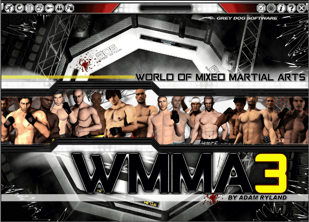 Download World Of Mixed Martial Arts 3