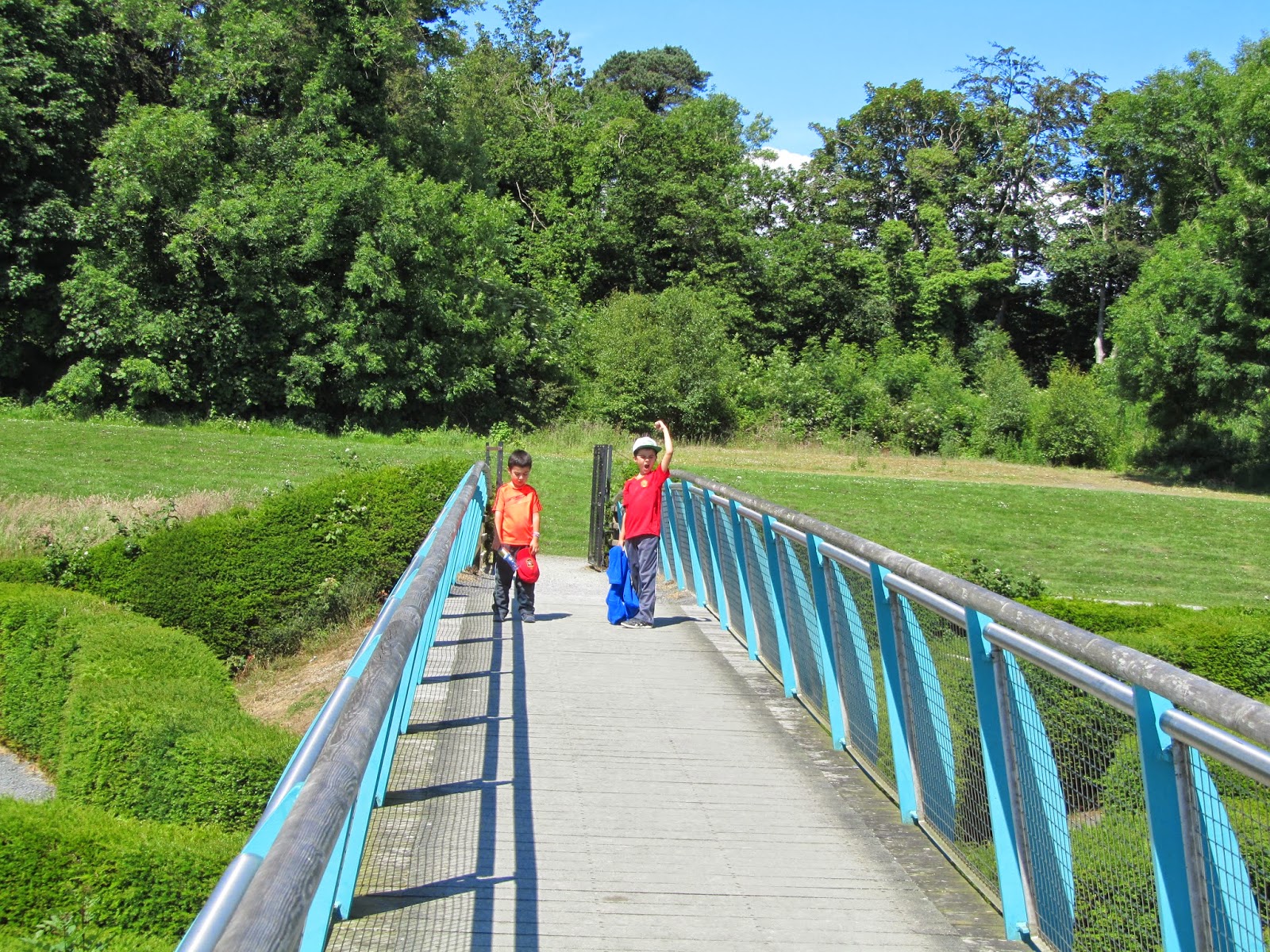 EXPAT WITH KIDS IN DUBLIN Castlewellan Forest Park We visited it