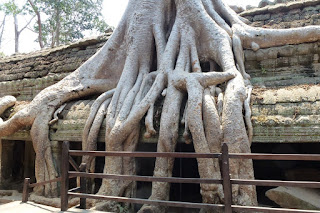 Asia Experience April 2016