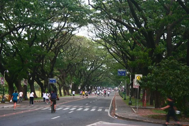 UP Diliman Academic Oval on a weekend