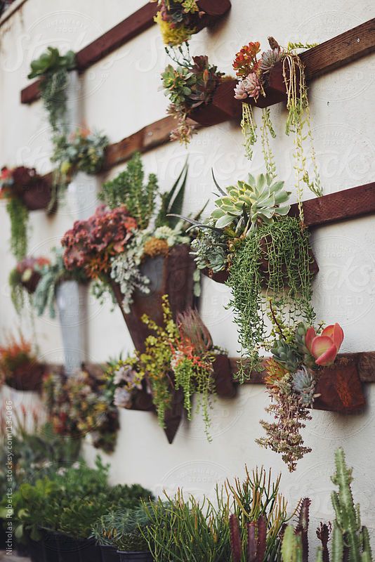 30 Hanging and wall garden ideas for your decor Diy Fun World