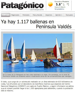 Ballenas y Veleros en Puerto Madryn - Patagonico nota del Censo aereo y un fotón