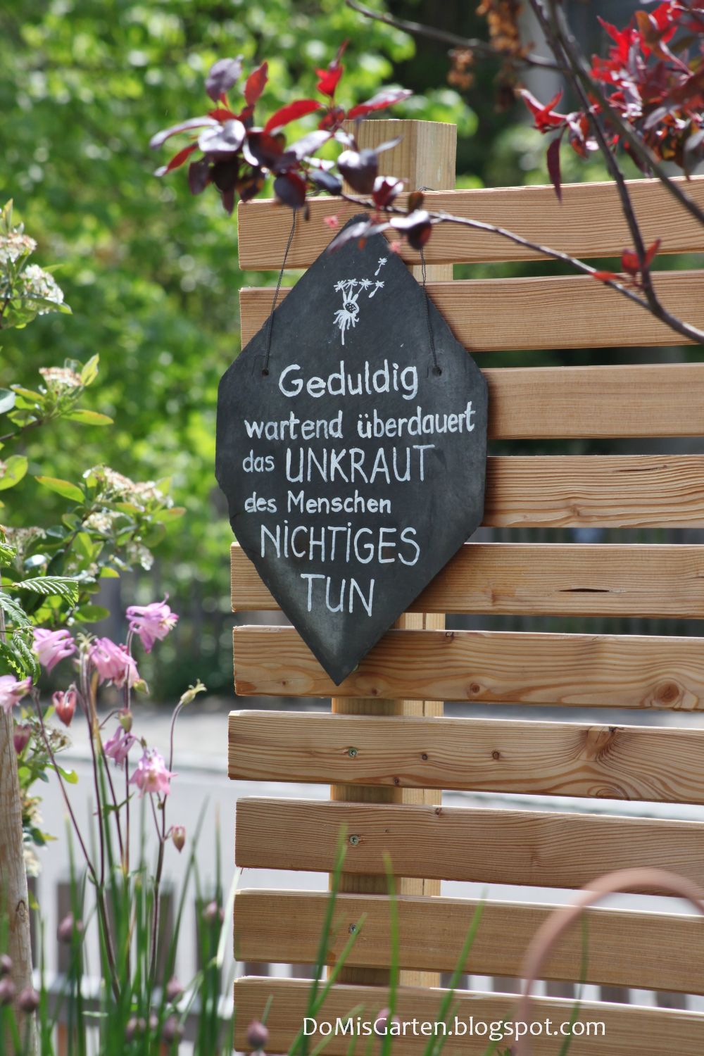 DoMis Garten Der Garten Mitte Mai Akeleien, neue