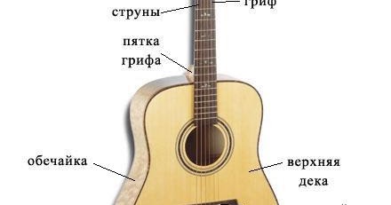 Из чего состоит гитара акустическая фото схемы