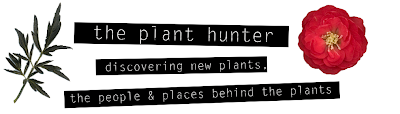 The Plant Hunter