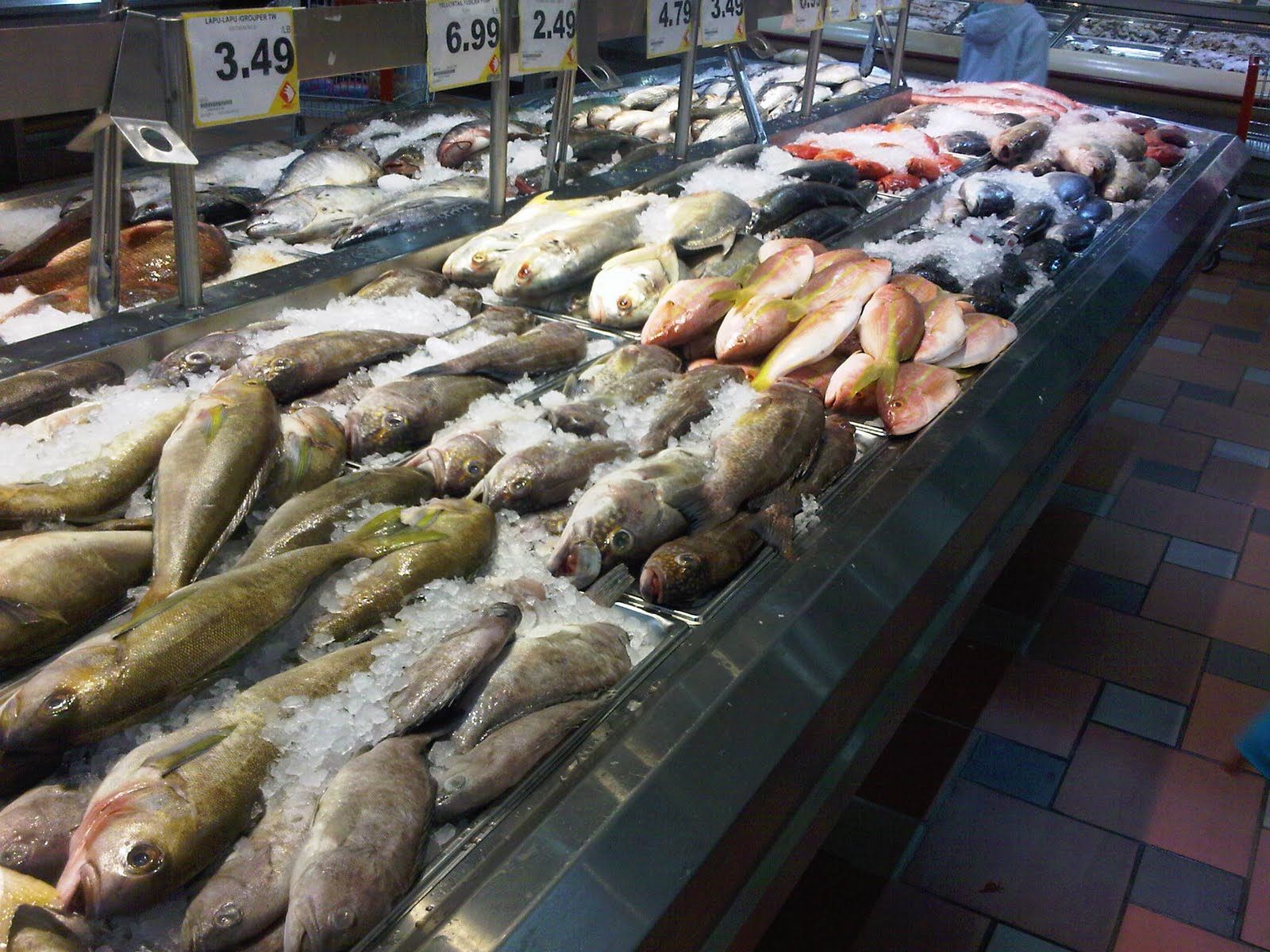 Lumpy's Blog San Diego California