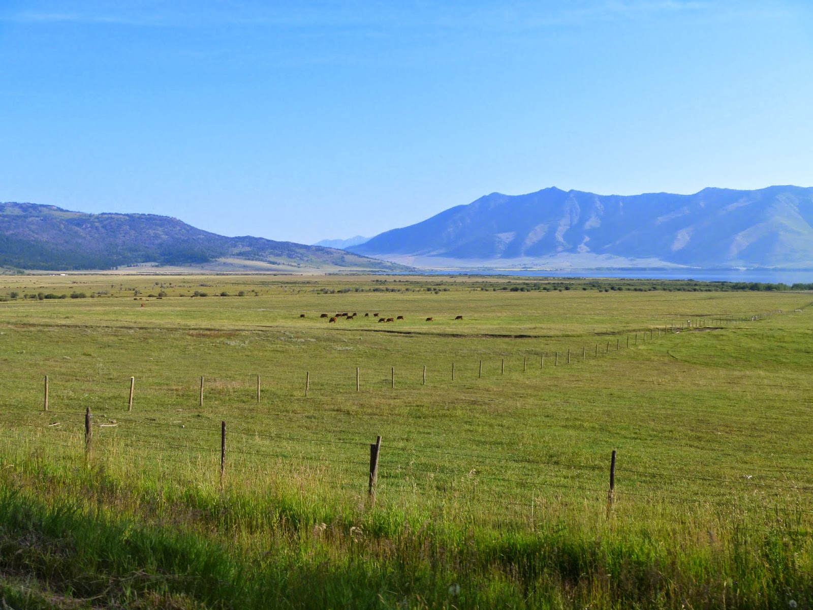 Frizbo Fifty Idaho / Montana, Red Rock Lake Wildlife Refuge