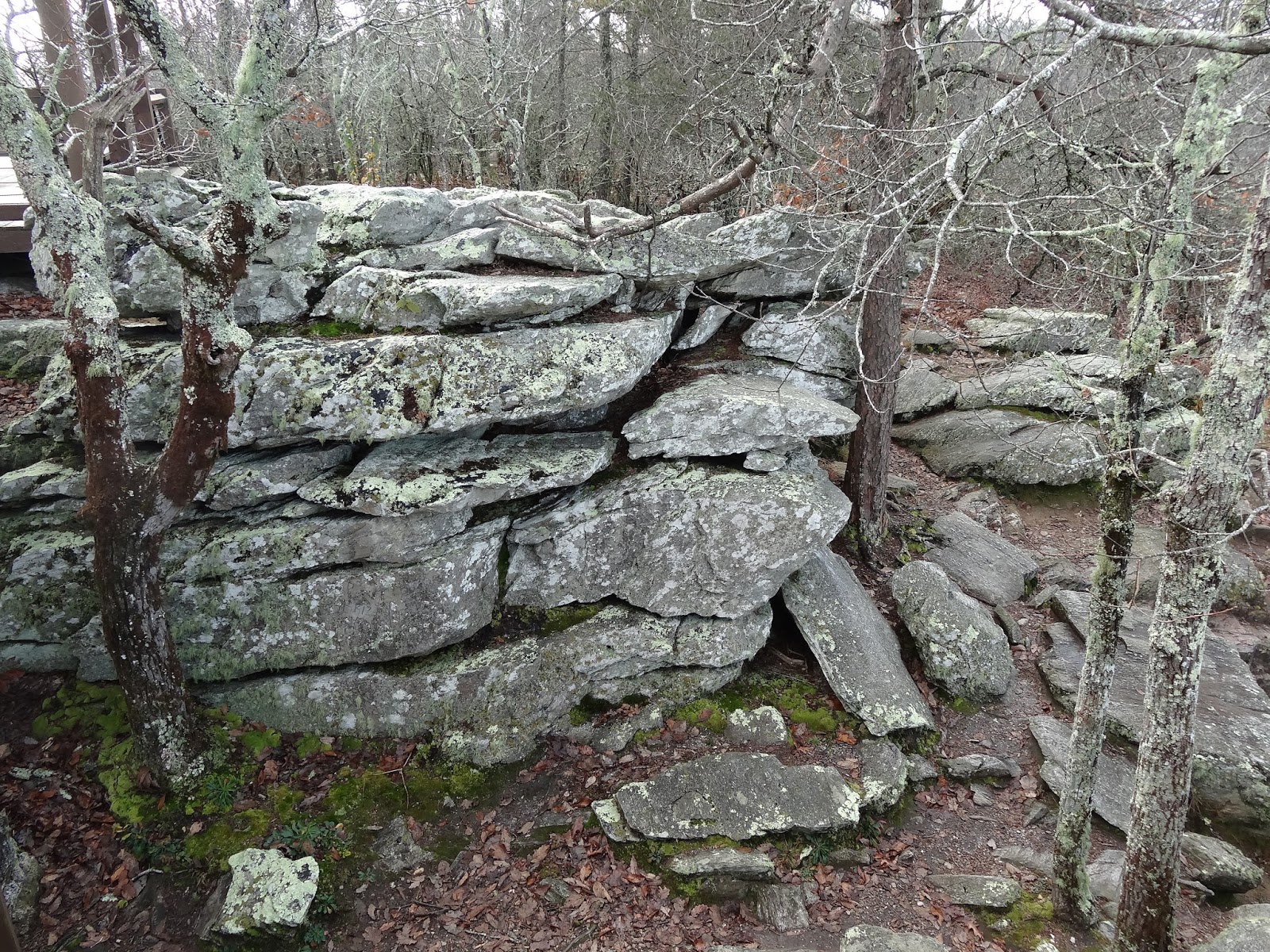 Contemporary Makers Cheaha State Park