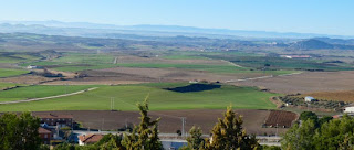 El Cerco de Artajona. El Cerco de Artajona.