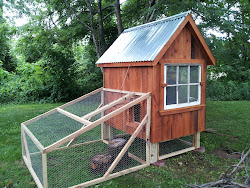 coop creme aviary sized walk super info email