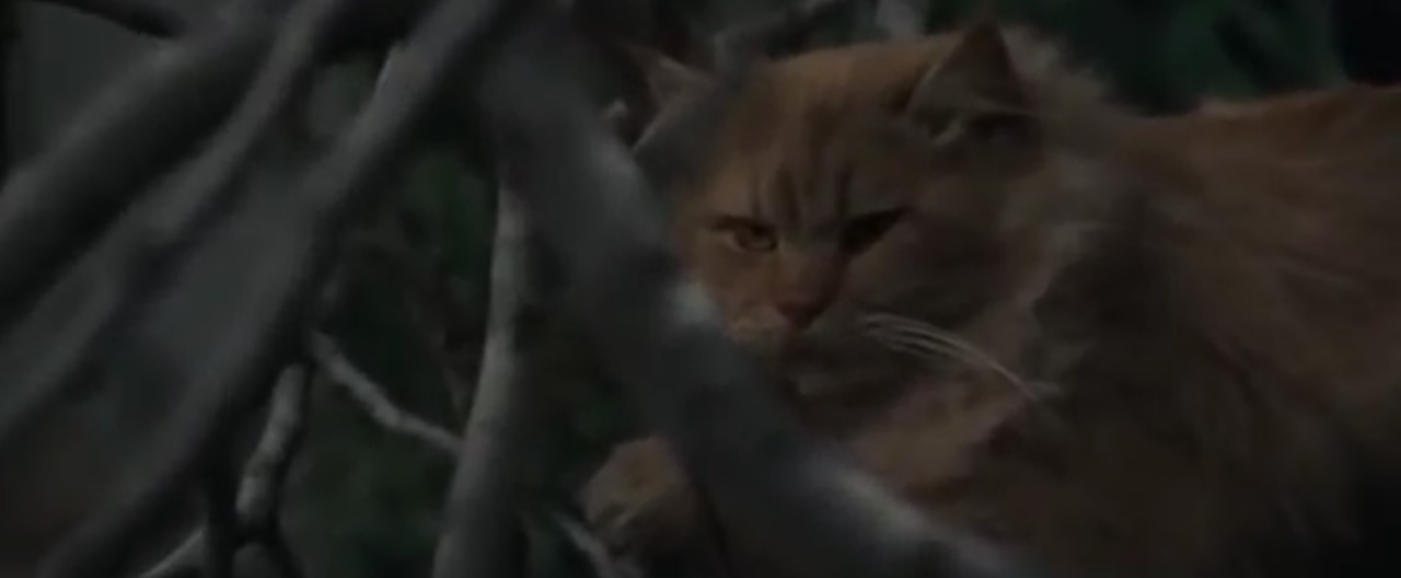 Seven Deaths In The Cat S Eye Seven Deaths In The Cat S Eye