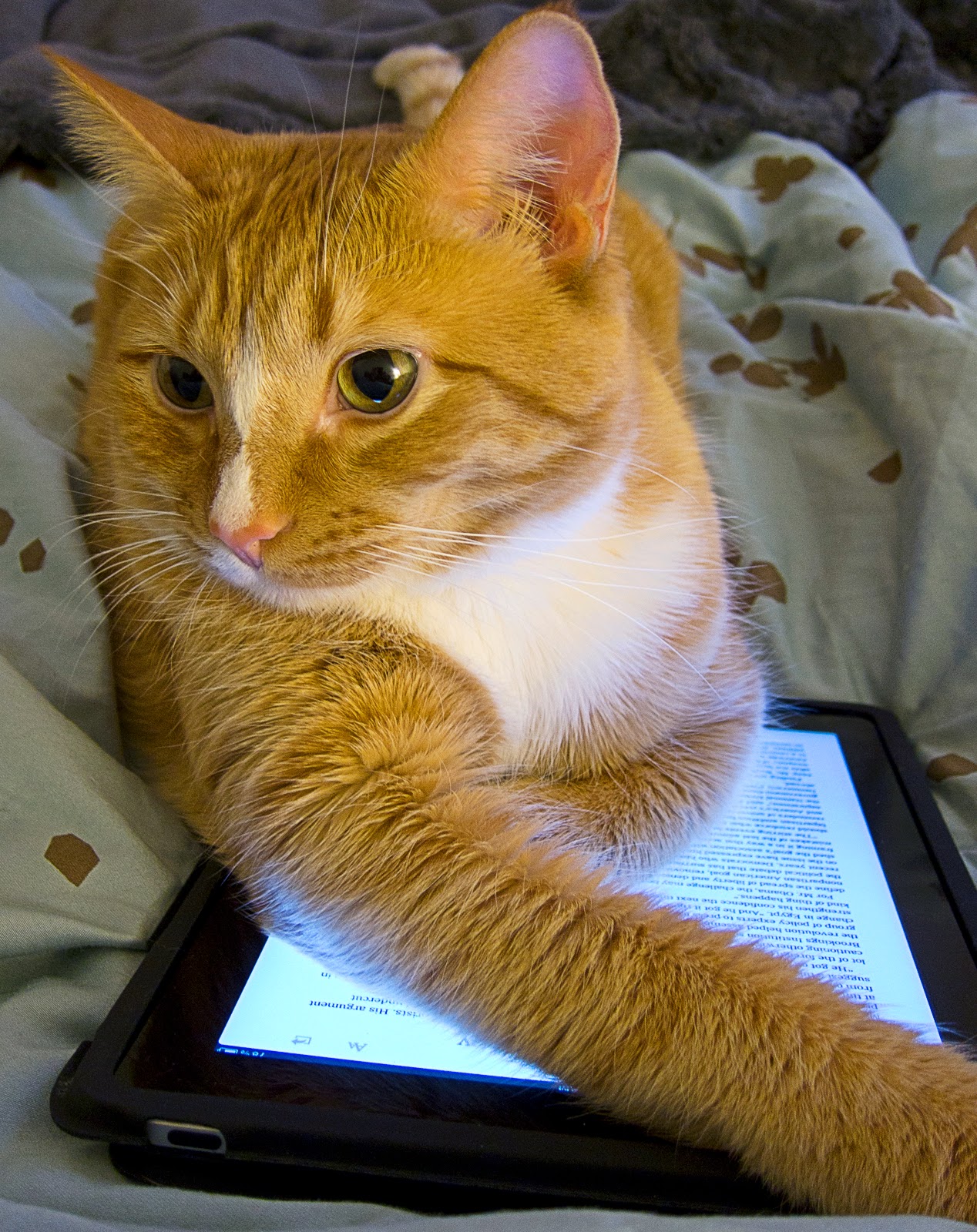 S524 Readers' Advisory