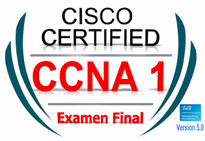 CCNA1 Introduction to Networks | Examen Final