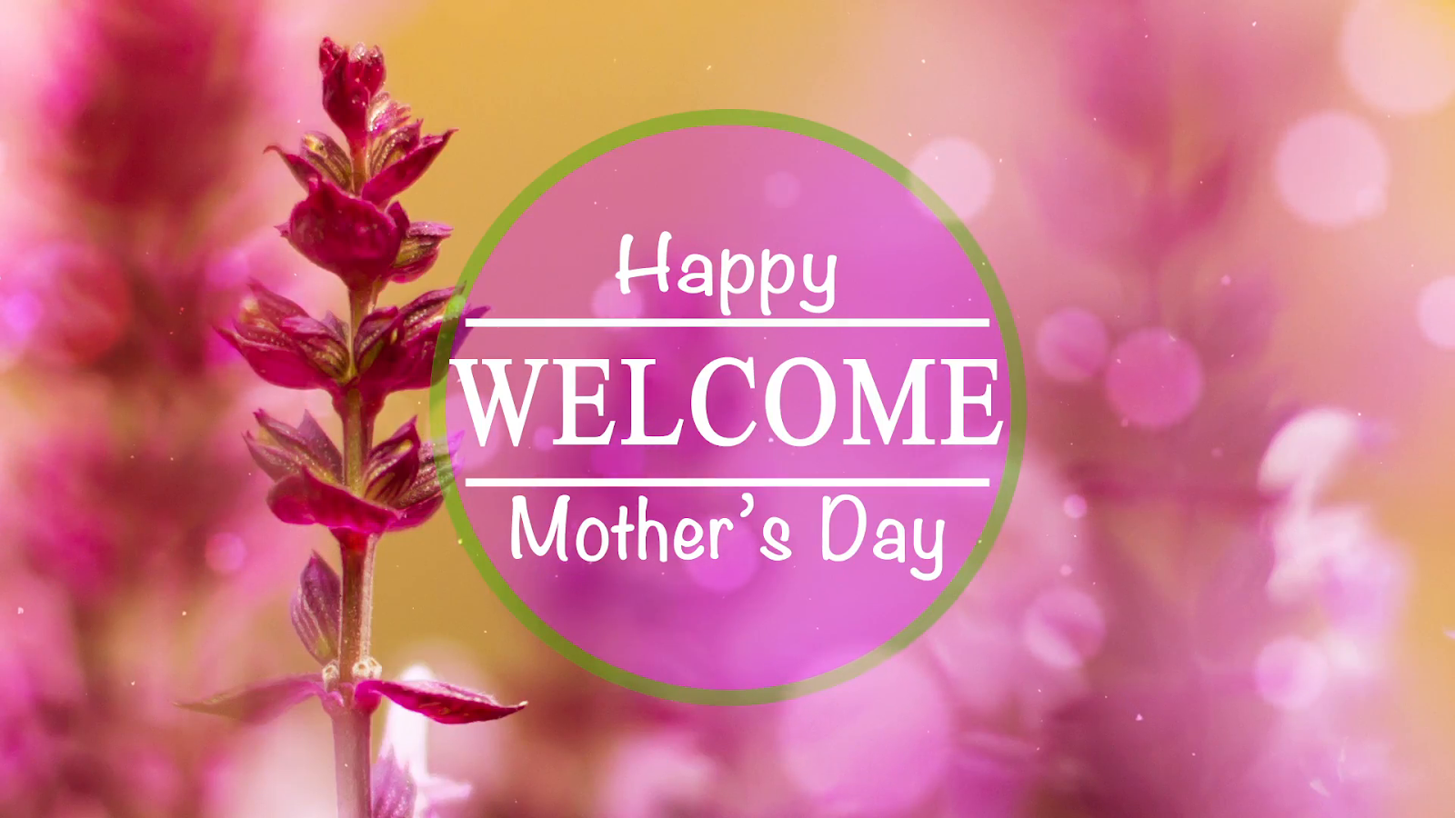 10 memorable romantic dialogues in bollywood Mother Day Kab Hota Hai / Mothers Day England 2020 Design Corral