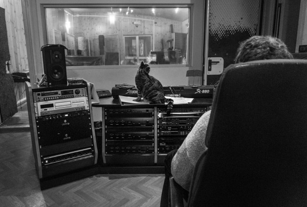 badia polesine cat sound recording studio