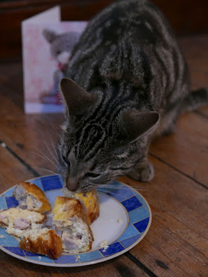 A tabby cat eating a cake