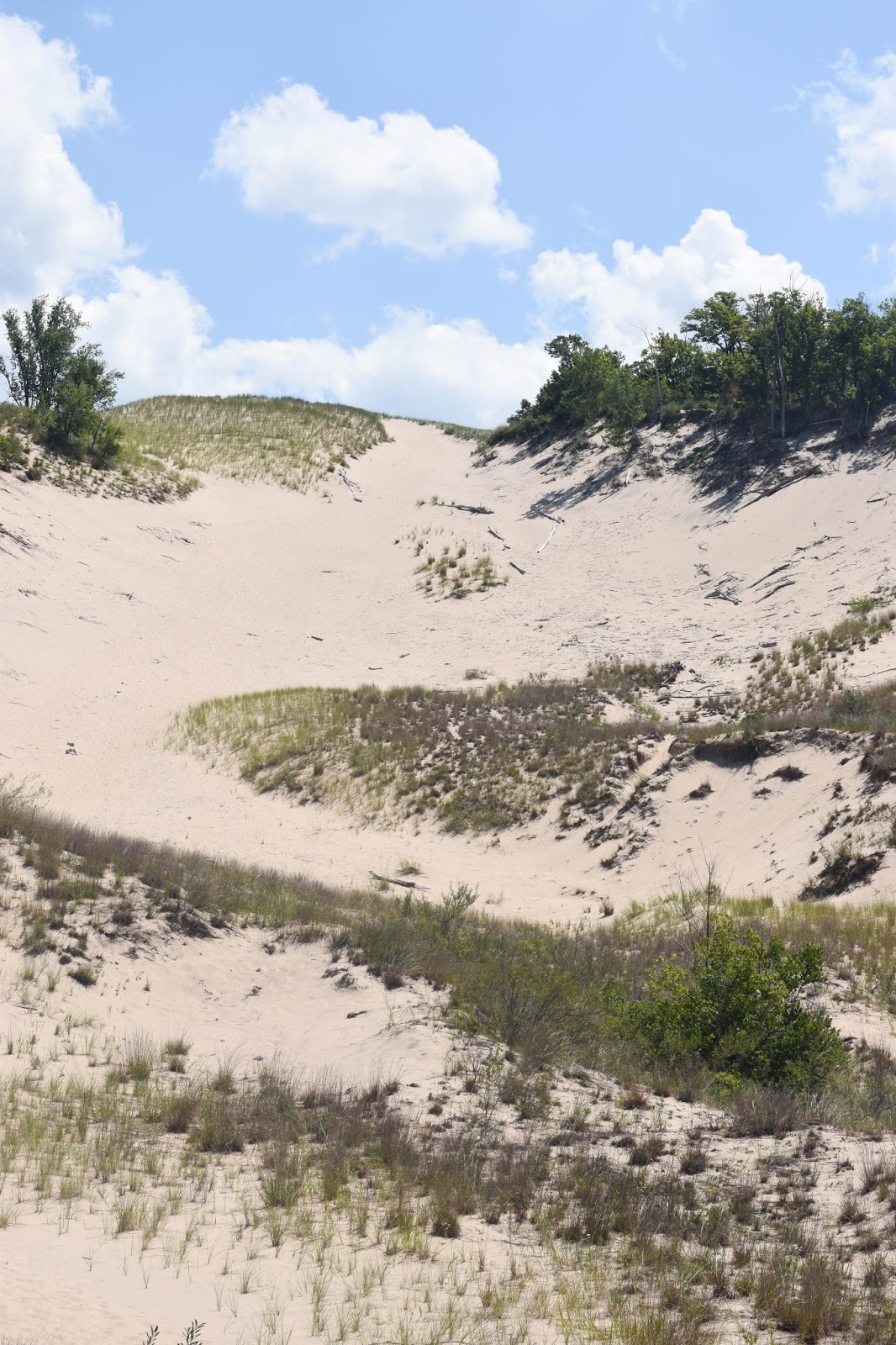 Warren Dunes State Park Dog Beach Warren Dunes State Park Dog Beach