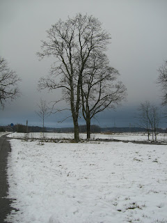 CIMG3176 - Milen under 100