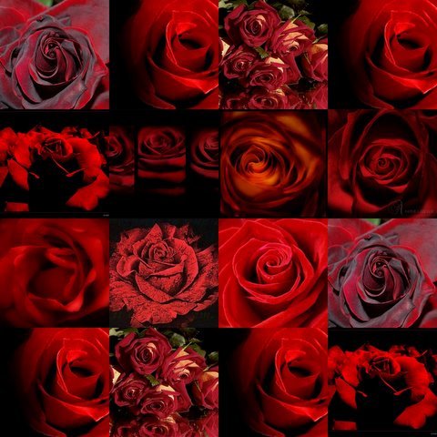 What Goes On During Sorority Initiation