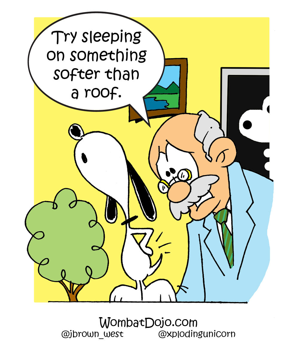 Sleep Number Wombat Dojo Sleep Number Wombat Dojo