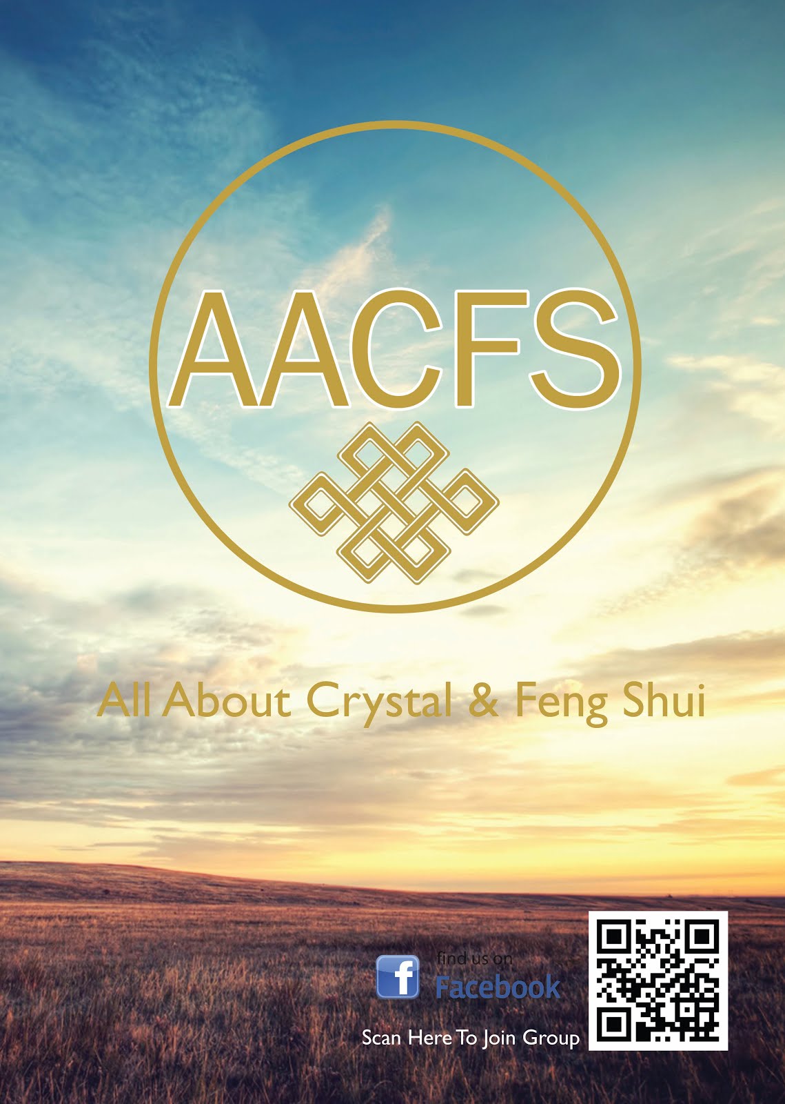 AACFS Since 2016
