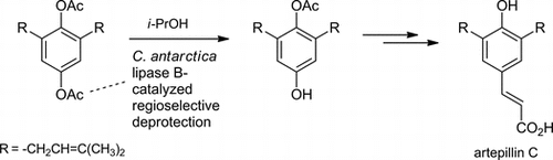ARC　(Aｒtepillin C)　の酵素的合成法