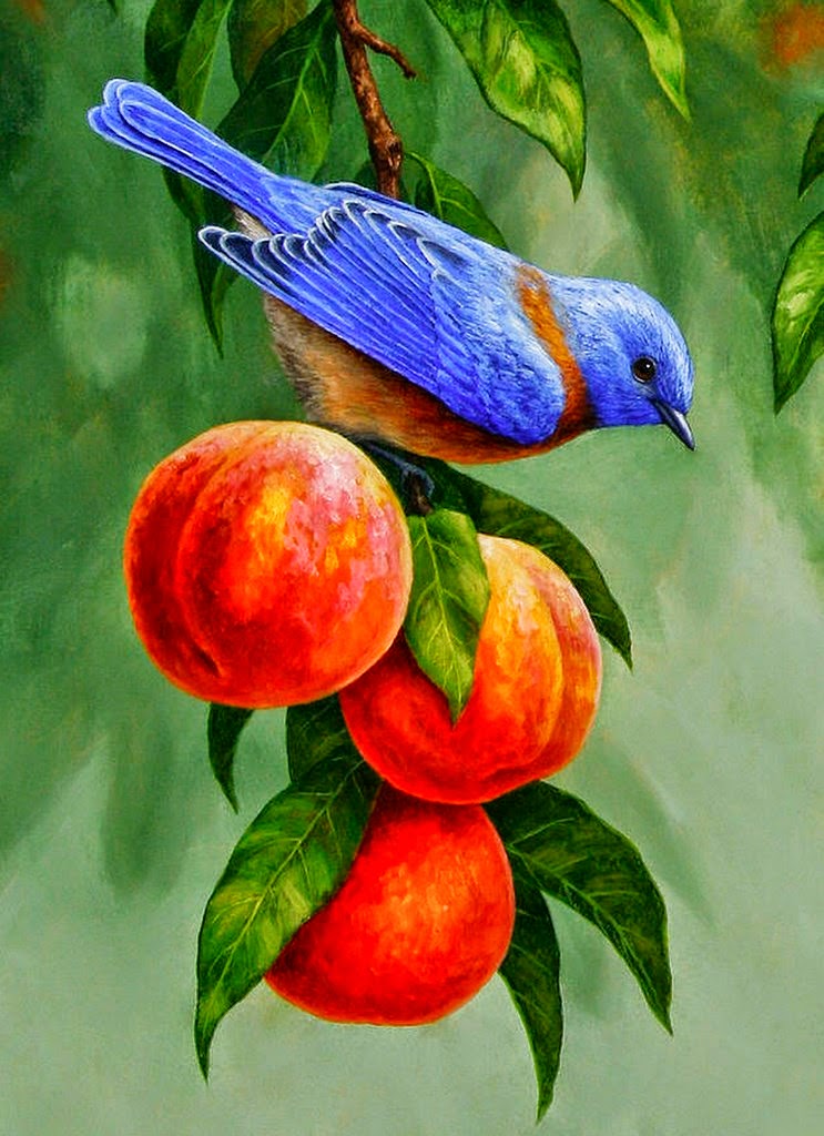 Cuadros De Pajaros Pinturas Decorativas Cuadros De Pajaros Pinturas Decorativas