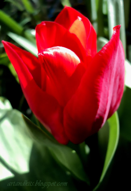 A vida, é uma constante e incessante procura, de sentido e significado... dentro de nós... ou totalmente, fora de nós... / Life is a constant and endless search of meaning and purpose... within ourselves... or entirely outside of ourselves...