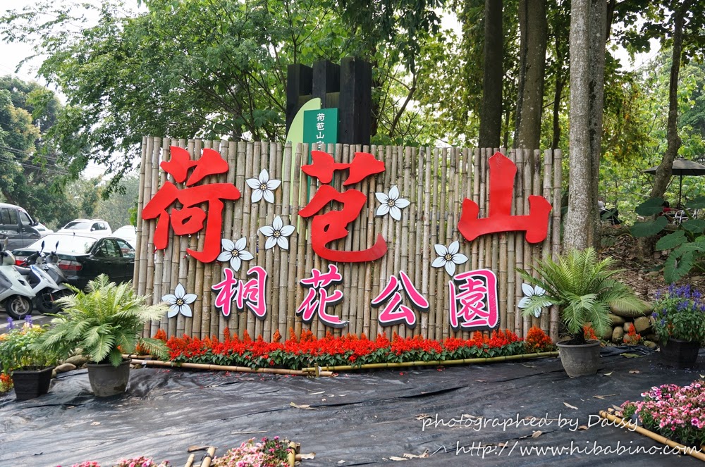 [遊記] 雲林縣古坑鄉 桐花祭‧到荷苞山看四月雪紛飛、賞油桐花吧 (04/06花況)