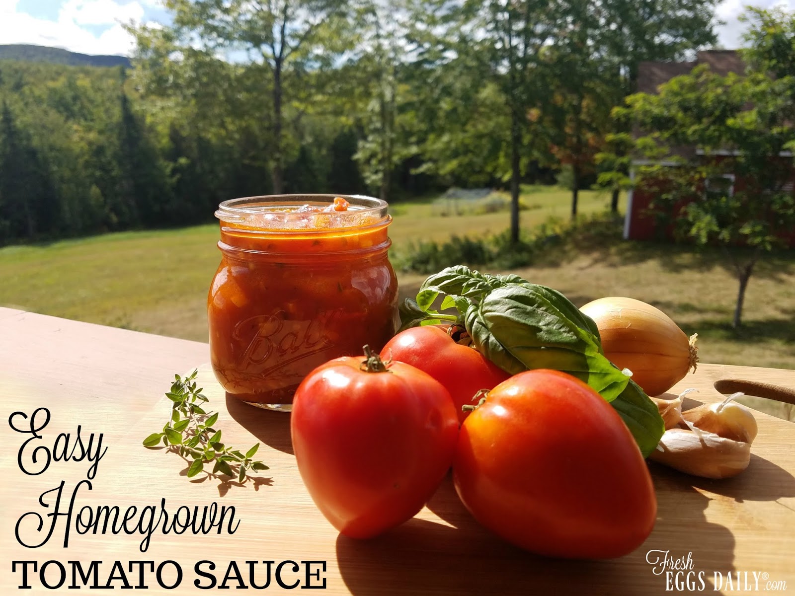 Easy Homegrown Homemade Tomato Sauce Fresh Eggs Daily® with Lisa Steele