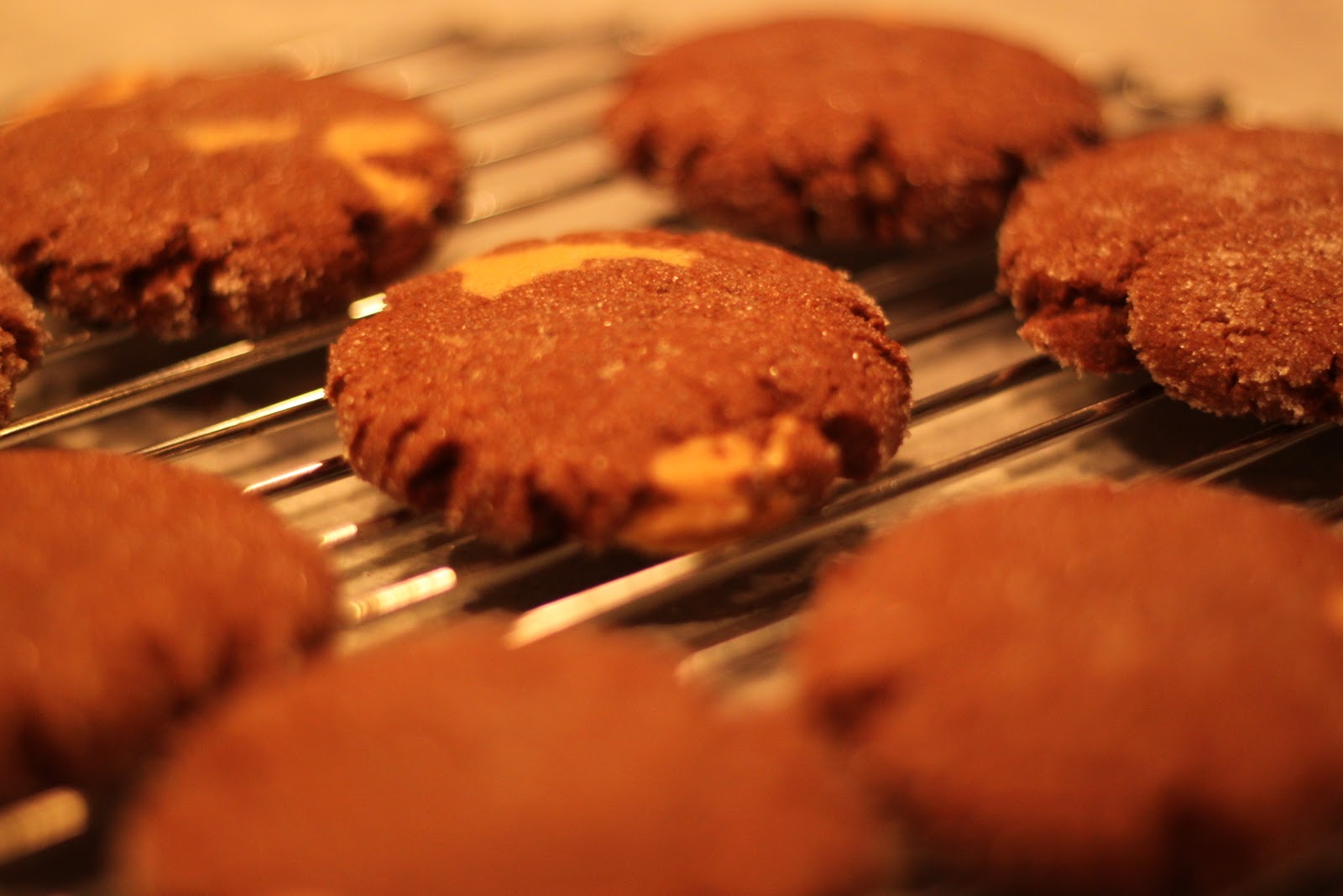 kid-friendly-christmas-cookies-sure-to-be-a-hit