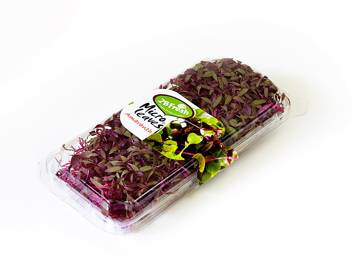 Flora Export S.G. Israel LTD reliable exporter of premium fresh herbs