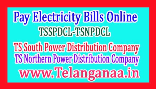 Pay Electricity Ts Bill Online Tsspdcl Tsnpdcl Electricity Board
