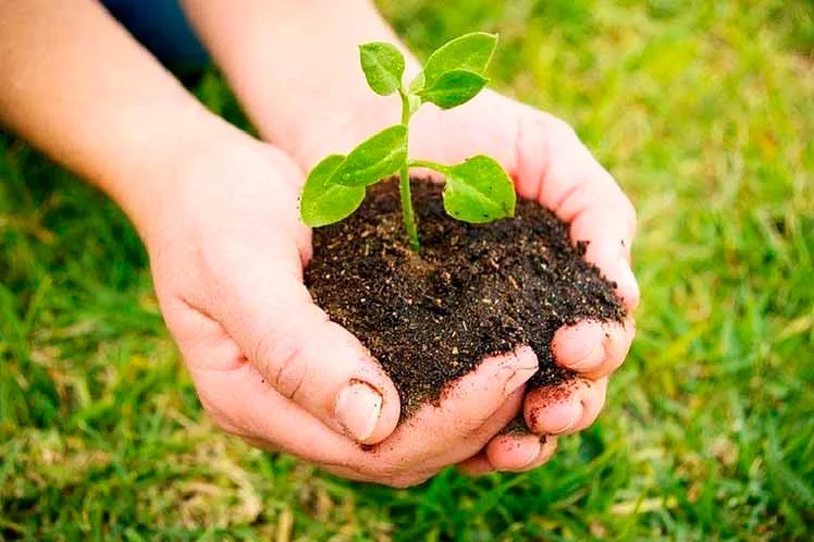 Medidas de Conservacion Ambiental