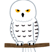 シロフクロウのイラスト