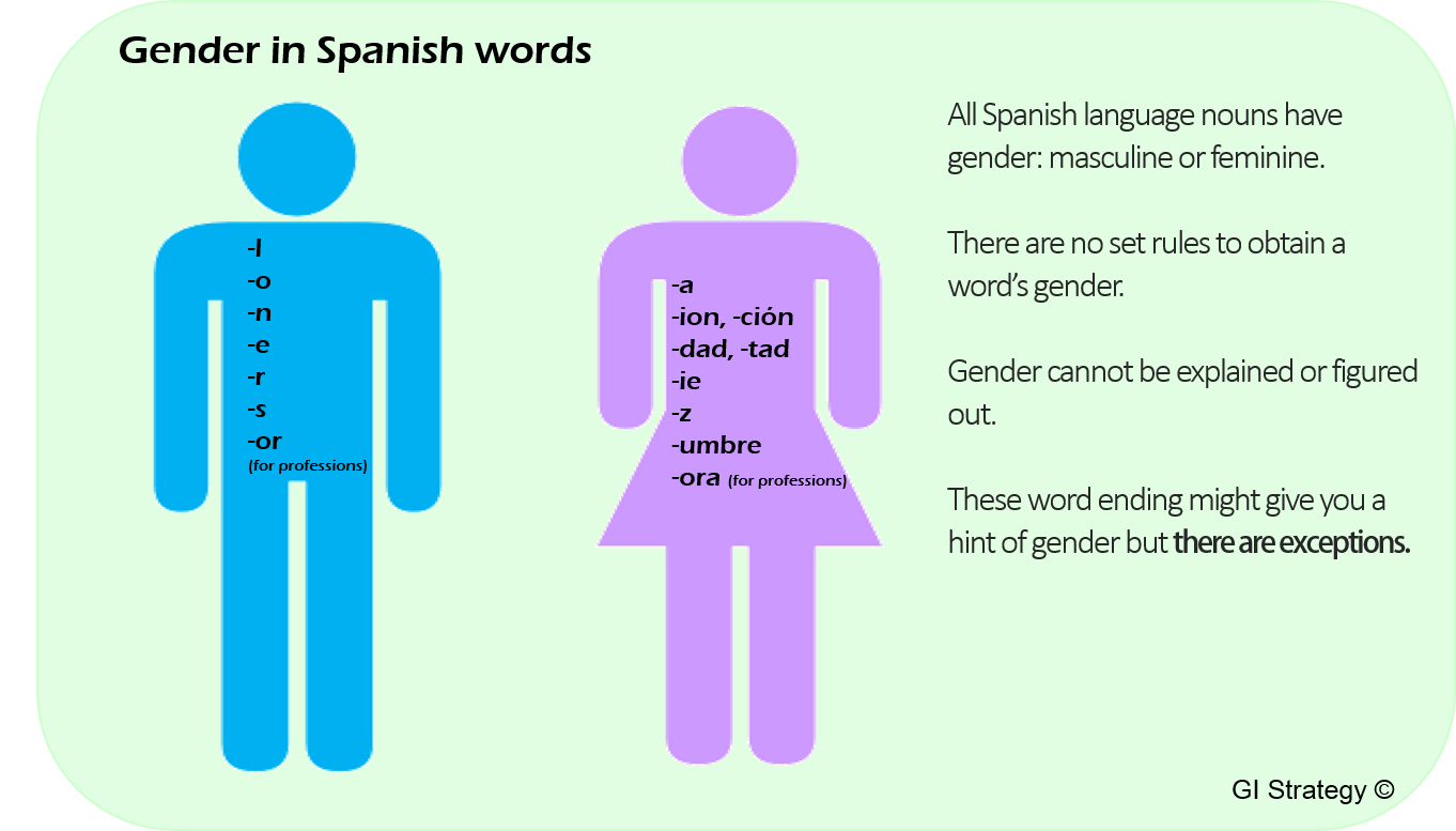 speak-spanish-gender-in-spanish-language-words