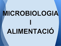 Microbiologia i alimentació