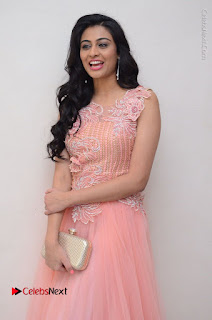 Actress Neha Hinge Stills in Pink Long Dress at Srivalli Teaser Launch  0025