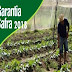 GOVERNO AUTORIZA PAGAMENTO DO GARANTIA-SAFRA PARA AGRICULTORES DE 38 MUNICÍPIOS NO RN