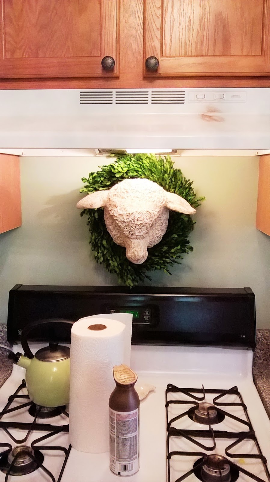 Two Seventy Four Spray Paint for the Ugly Range Hood